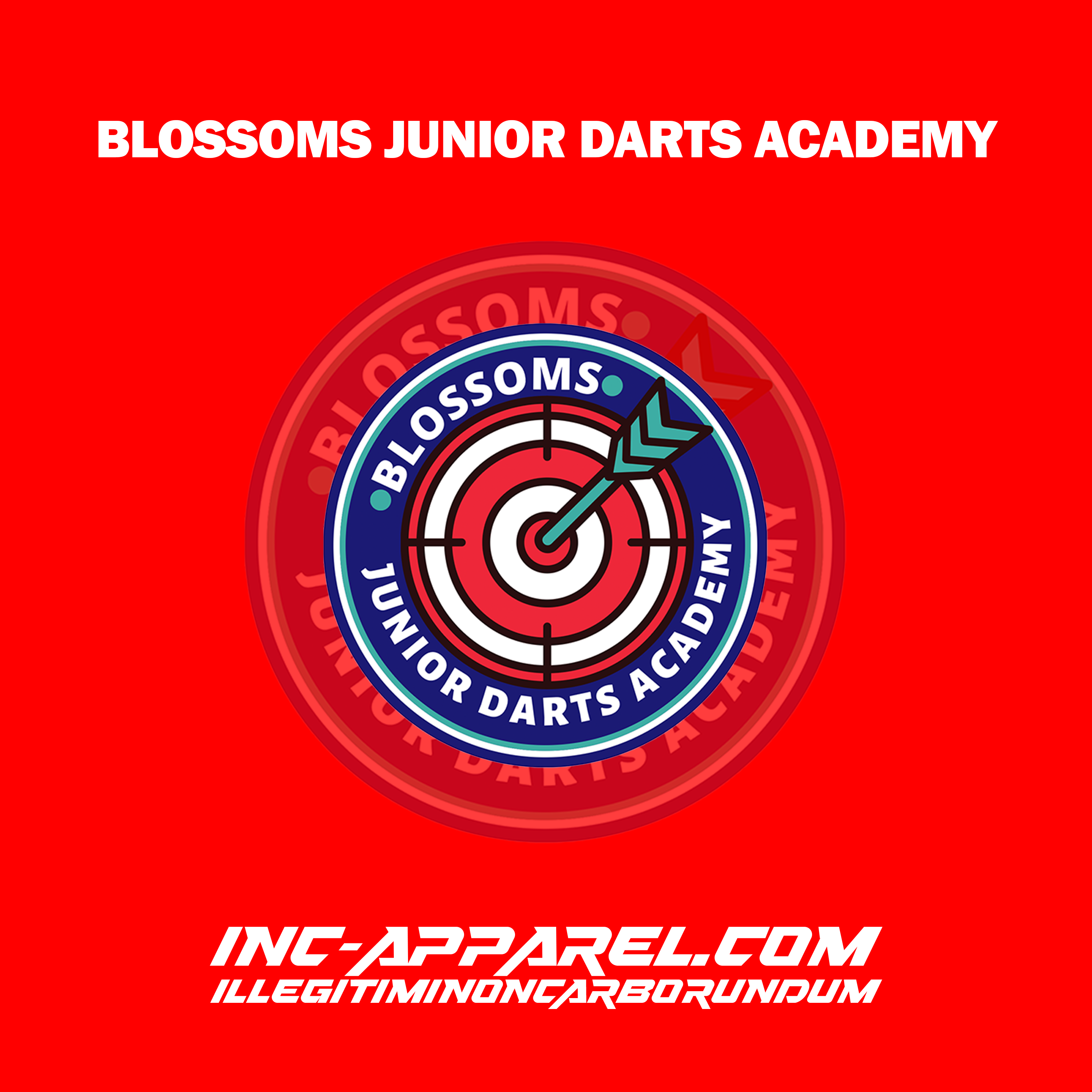 Blossoms Junior Darts Academy