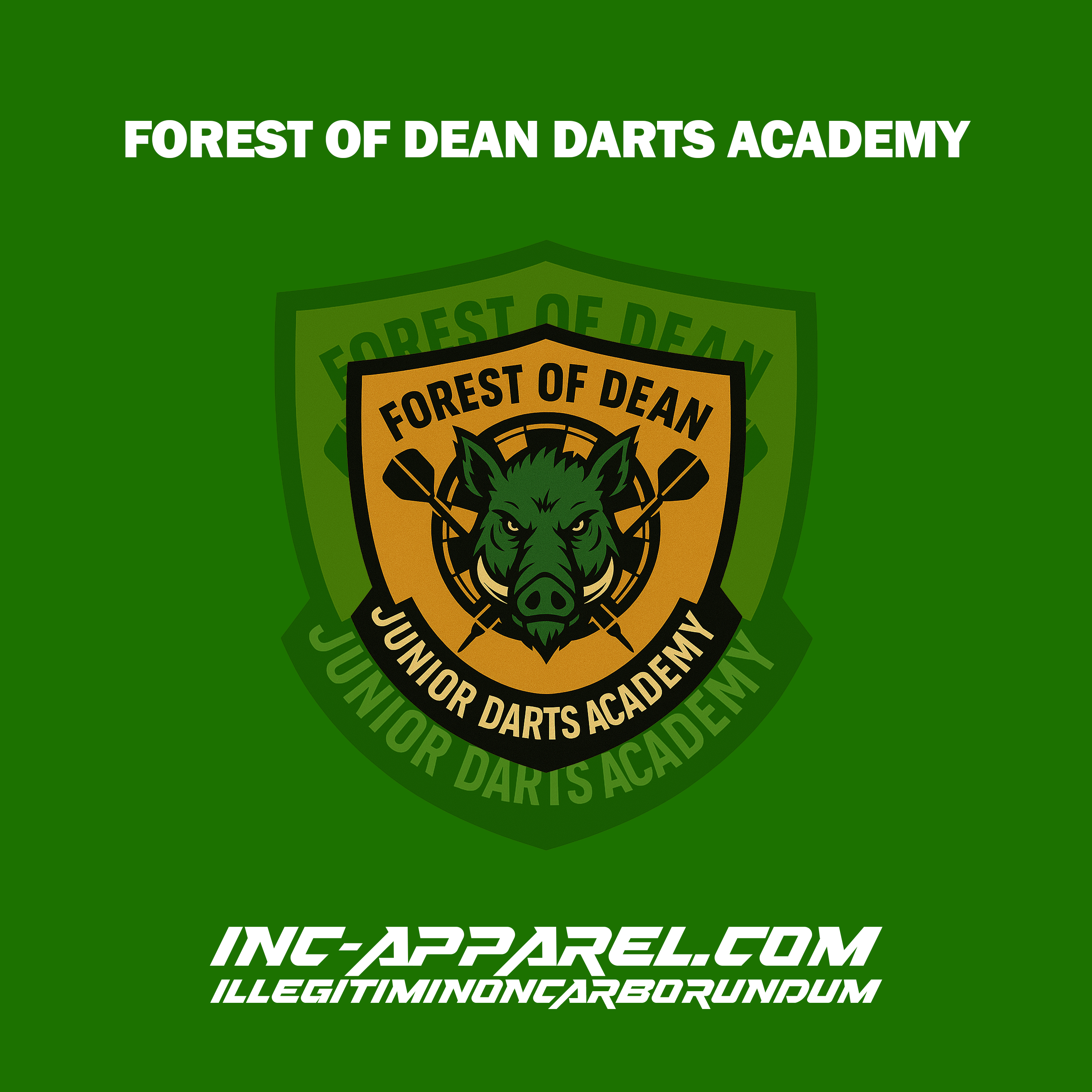 Forest of Dean Junior Darts Academy