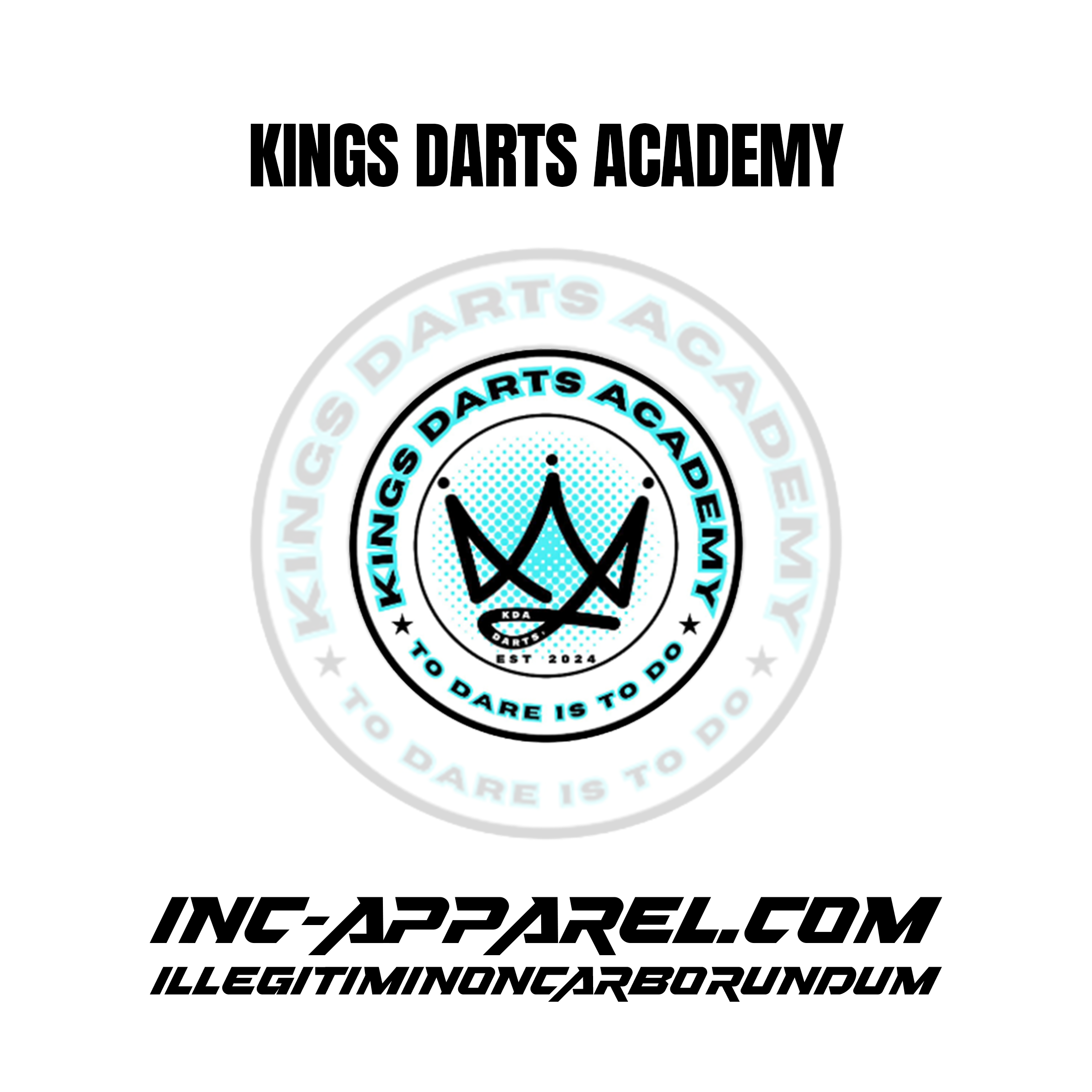 Kings Darts Academy